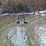 شقة Seeglueck Seegold - Moderne Maisonette-wohnung Mit Balkon Und Parkplatz In Seenaehe In Konstanz-dingels-dorf *