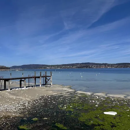 Seeglueck Seegold - Moderne Maisonette-wohnung Mit Balkon Und Parkplatz In Seenaehe In Konstanz-dingels-dorf *