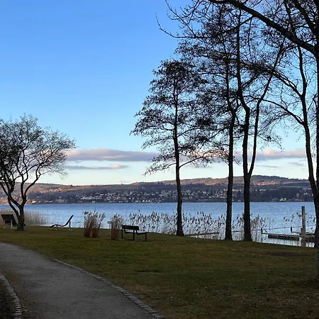 Seeglueck Seegold - Moderne Maisonette-wohnung Mit Balkon Und Parkplatz In Seenaehe In Konstanz-dingels-dorf Apartment *